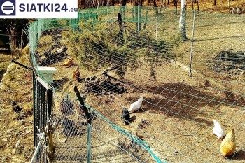 Siatki Wągrowiec - Siatka na woliery - zabezpieczenia ptaków w hodowli dla terenów Wągrowca